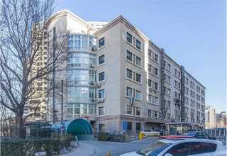 常州小型医用无油空压机代理