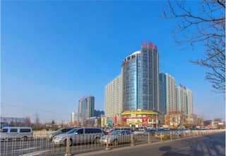 新疆普板校平机报价